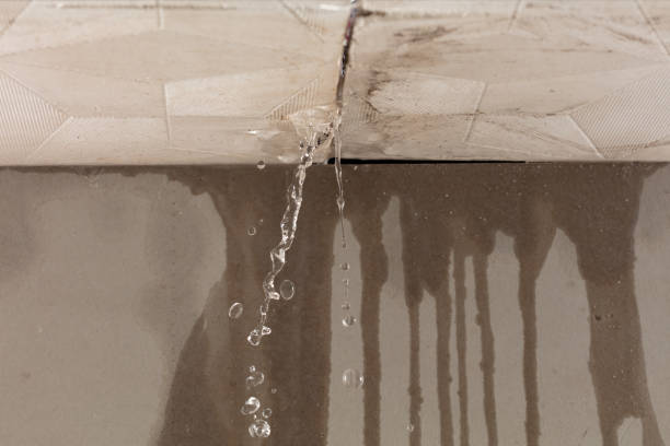 Professional Burst Pipe Cleanup technician working in Christiansburg, OH